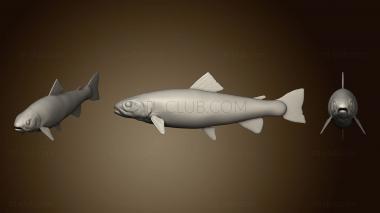 3D model Trout 2 (STL)